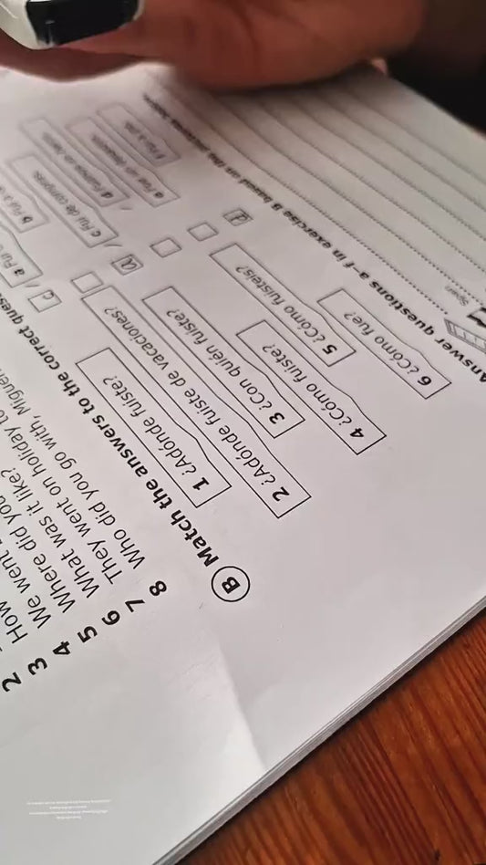 Portable Handheld Translator